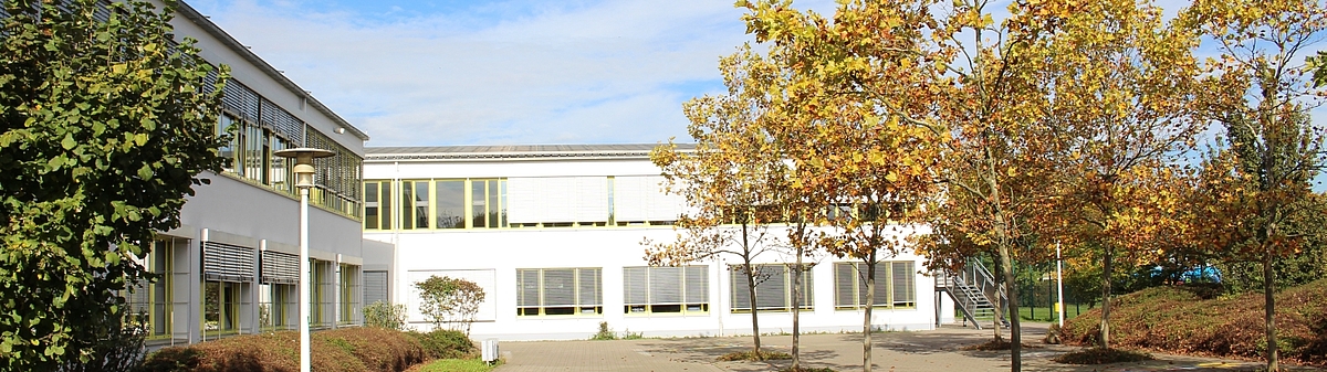 Rochus-Realschule plus mit Fachoberschule Grafik