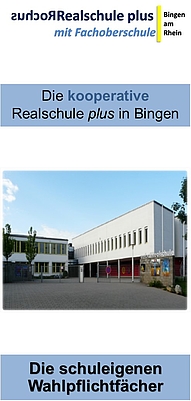 Rochus-Realschule plus mit Fachoberschule Grafik