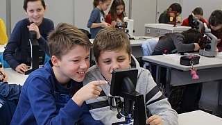 Rochus-Realschule plus mit Fachoberschule Grafik