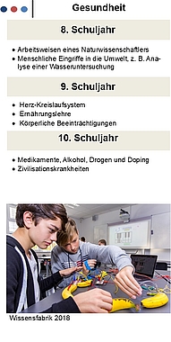 Rochus-Realschule plus mit Fachoberschule Grafik