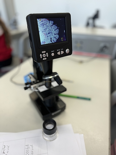 Rochus-Realschule plus mit Fachoberschule Grafik